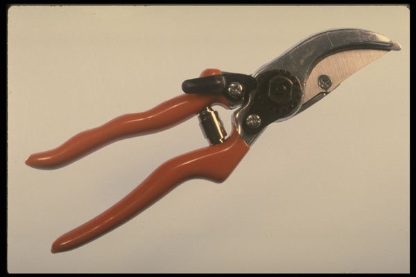 373069 Pruning Shears A4 Photo Print