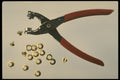 373079 Studs A4 Photo Print