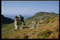374002 Valley Of Rocks , Near Lynton, Exmoor A4 Photo Print