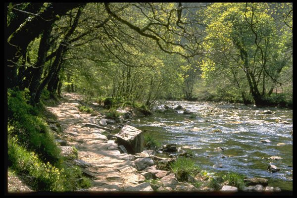 374003 River Barle, Exmoor A4 Photo Print