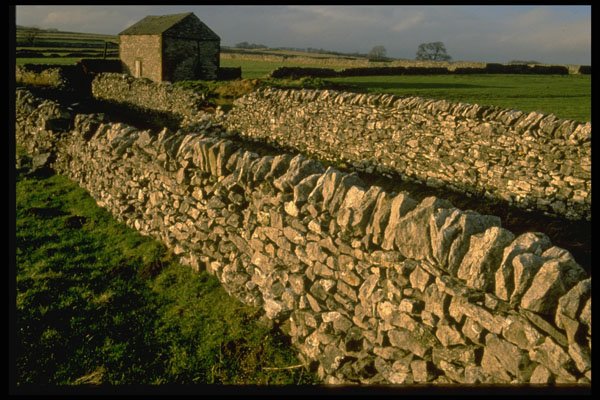 374015 Stonewalling, White Peak Area, Peak District A4 Photo Print