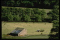 374019 Swaledale Farming, Yorkshire Dales A4 Photo Print
