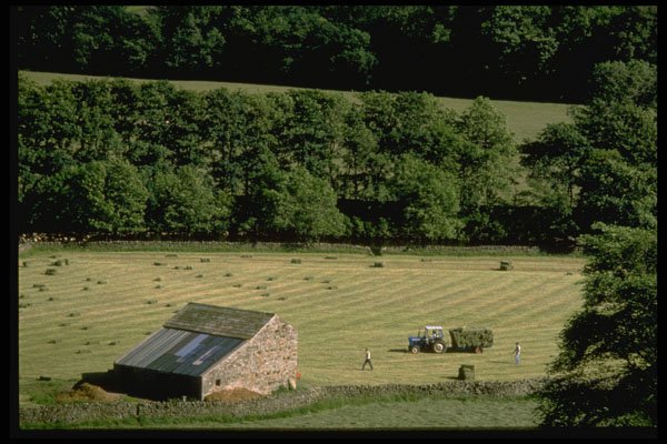 374019 Swaledale Farming, Yorkshire Dales A4 Photo Print