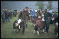 374023 Buttermere Show A4 Photo Print