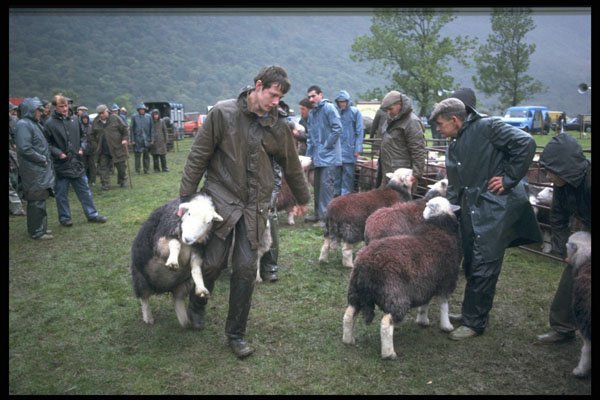 374023 Buttermere Show A4 Photo Print