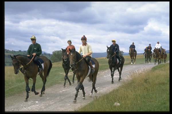 374032 Racehorses Returning To Middleham From The Gallops A4 Photo Print