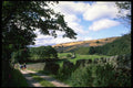 374036 Footpath Near Pately Bridge, North Yorkshire A4 Photo Print
