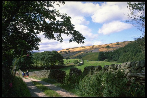 374036 Footpath Near Pately Bridge, North Yorkshire A4 Photo Print