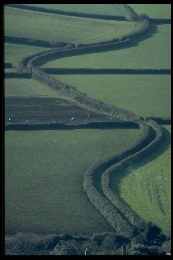 374053 Snaking Green Lane, Hurlstone Point Path, Porlock Vale A4 Photo Print