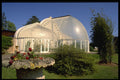 374054 Conservatory At Bicton Gardens, Exmoor A4 Photo Print