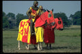 374061 Knights In Shining Armor A4 Photo Print