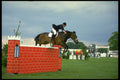 374092 Showjumping, Royal Show, Stoneleigh, Warks A4 Photo Print
