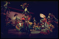 375092 Braziliana Reue Dancers And Scenes A4 Photo Print