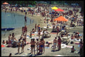 376000 Soaking Up The Sun A4 Photo Print