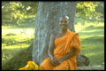 376020 Buddhist Monk A4 Photo Print