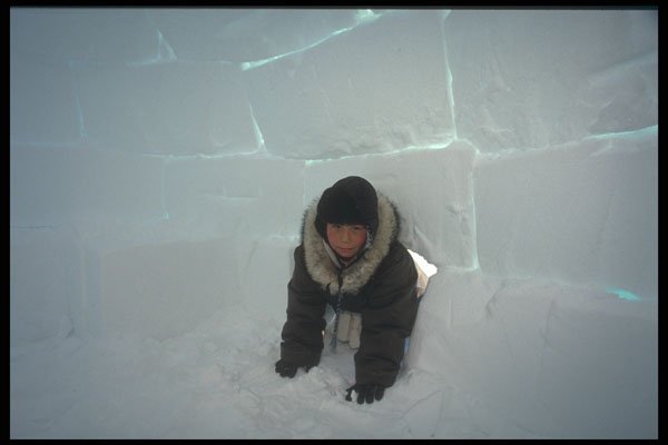 376055 Novalunga, A Young Inuk Inside An Igloo A4 Photo Print