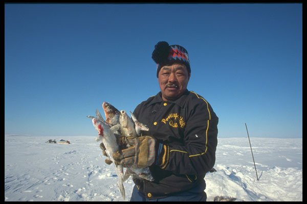 376057 Inuk Of Povungnituk With Several Fish A4 Photo Print