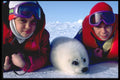376060 Tourists Enjoying A Wildlife Experience A4 Photo Print
