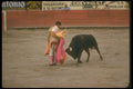 376067 Bullfight, Ciudad Juarez A4 Photo Print