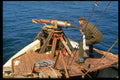 376075 Norwegian Marksman Prepares Gun For Kill A4 Photo Print