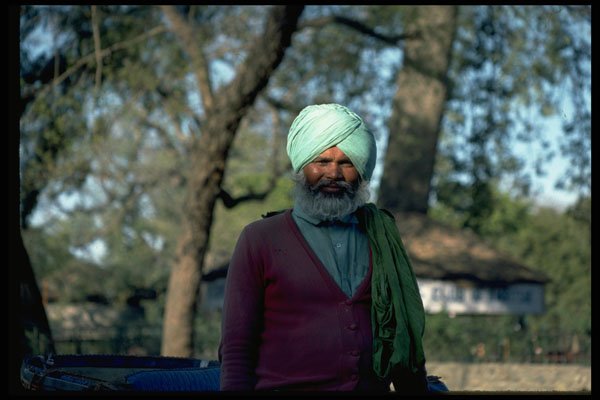 376079 Friendly Taxi driver A4 Photo Print