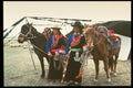 376092 Two Tibetans With Mules A4 Photo Print
