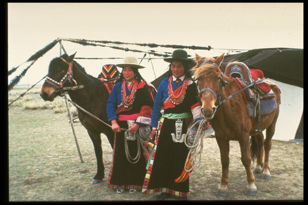 376092 Two Tibetans With Mules A4 Photo Print
