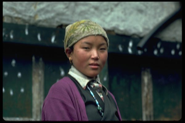 376096 Sherpa Girl, Nepal, Himalayan Region A4 Photo Print