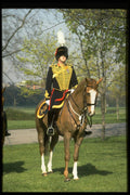376097 Hyde Park, King's Troop Officer A4 Photo Print