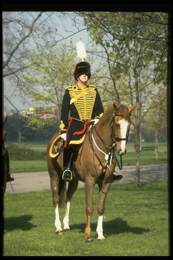 376097 Hyde Park, King's Troop Officer A4 Photo Print