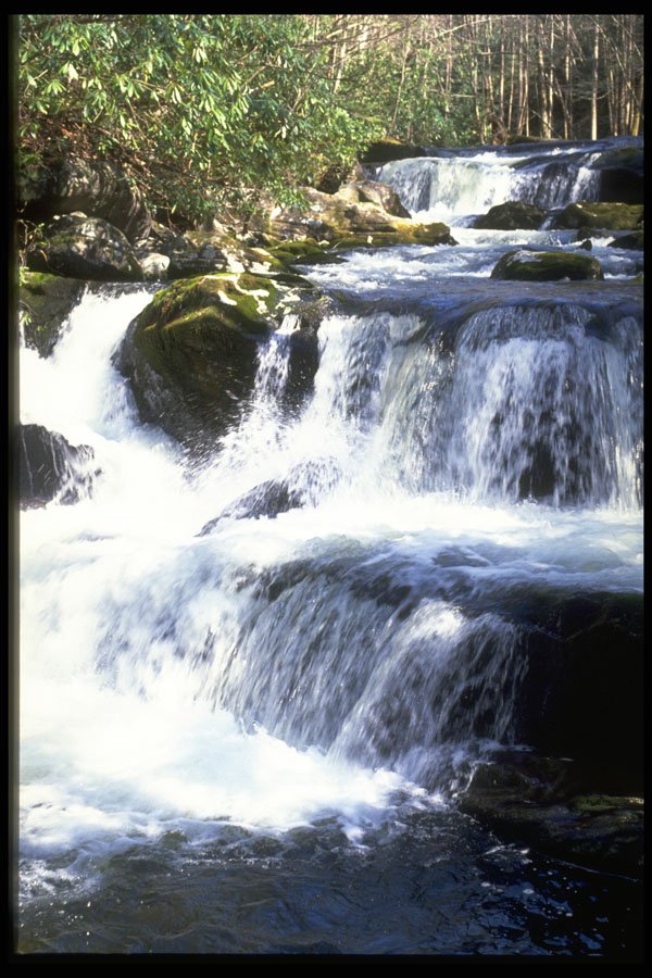 377005 Cascades, Tremont Trail, Great Smokies A4 Photo Print