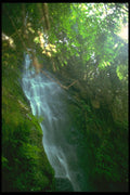 377028 Rain Forest Waterfall A4 Photo Print
