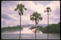 377082 Venezuela Canaima Falls A4 Photo Print
