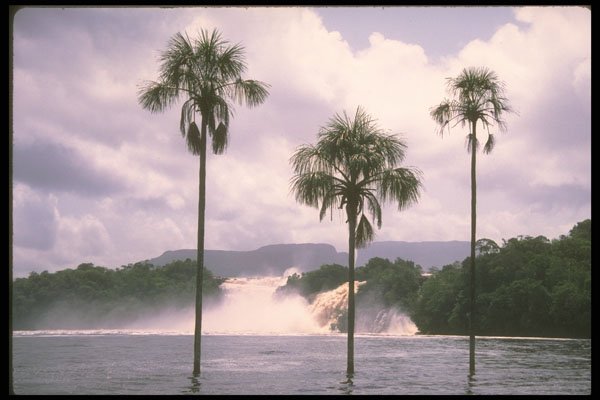 377082 Venezuela Canaima Falls A4 Photo Print