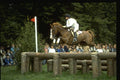 378001 Burghley 1985 A4 Photo Print