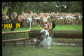 378004 Burghley 1985 A4 Photo Print