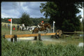 378008 Burghley 1983 A4 Photo Print