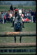 378011 Badminton 1984 A4 Photo Print