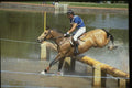 378012 Windsor Horse Trials, 1988 A4 Photo Print