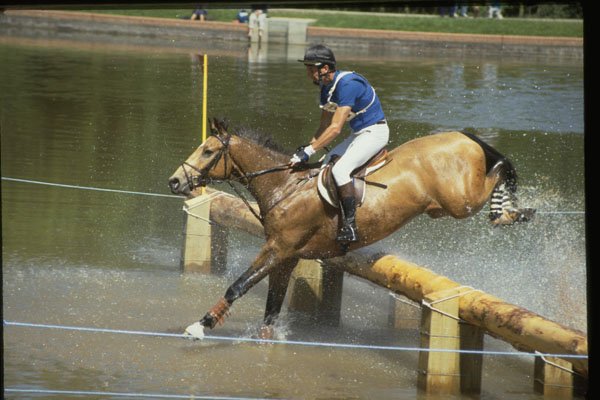 378012 Windsor Horse Trials, 1988 A4 Photo Print