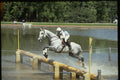 378013 Windsor Horse Trials, 1988 A4 Photo Print