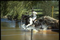 378017 Windsor Horse Trials A4 Photo Print