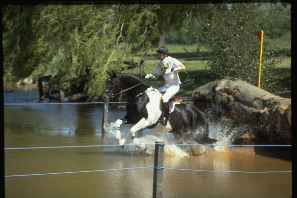 378017 Windsor Horse Trials A4 Photo Print