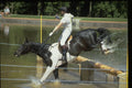 378019 Windsor Horse Trials A4 Photo Print