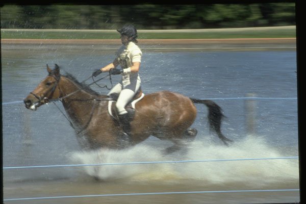 378020 Windsor Horse Trials, 1988 A4 Photo Print