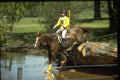 378022 Windsor Horse Trials, 1988 A4 Photo Print