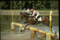 378024 Windsor Horse Trials, 1988 A4 Photo Print