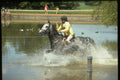 378025 Junior Windsor Horse Trials A4 Photo Print