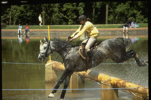 378026 Junior Windsor Horse Trials A4 Photo Print