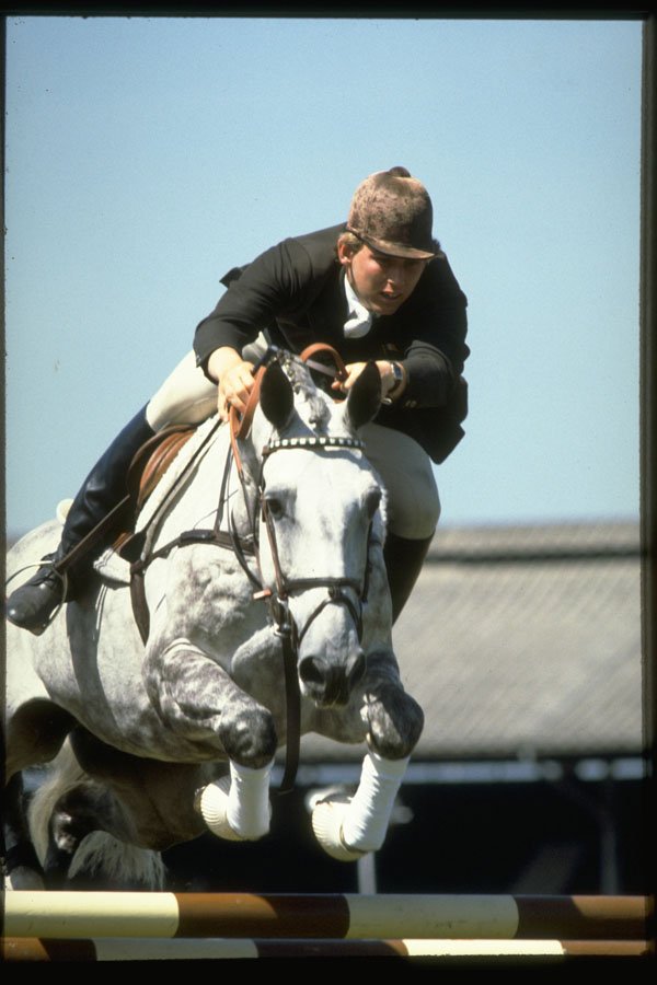 378027 Showjumping A4 Photo Print